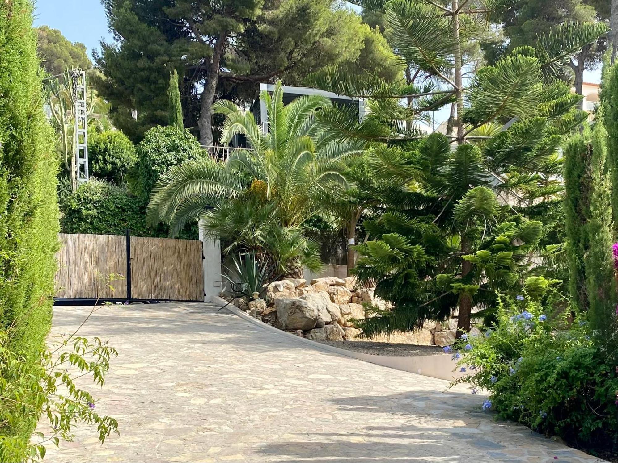 Palmera Хавеа Экстерьер фото